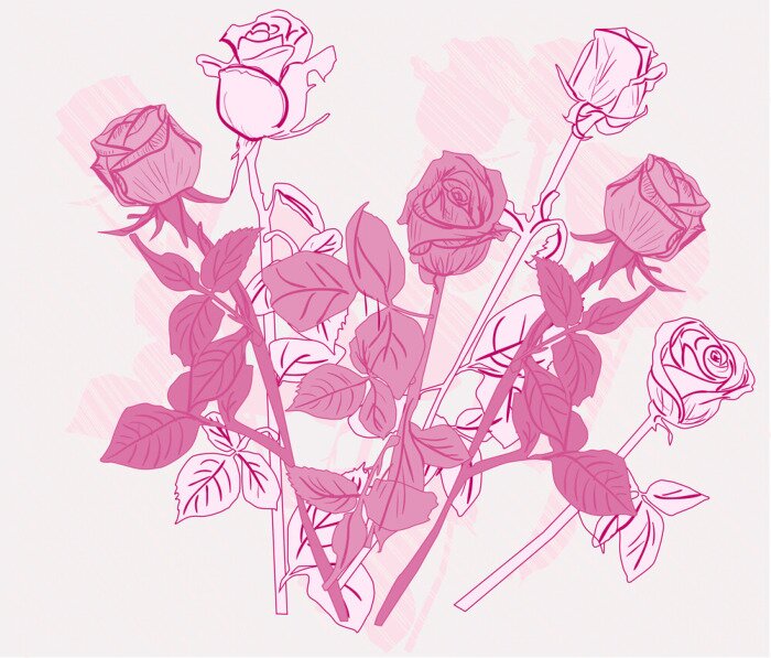 Sticker  Illustration rose avec des roses