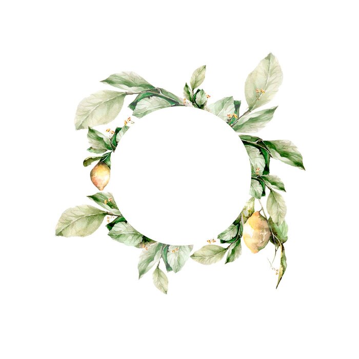 Sticker  Illustration subtile de couronnes de brindilles de citron