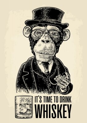 Illustration vintage avec un singe