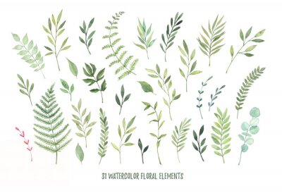 Sticker  Illustrations à l'aquarelle dessinées à la main. Photos botaniques (feuilles, fleurs, tourbillons, herbes, branches). Éléments de conception florale. Parfait pour les invitations de mariage, les carte
