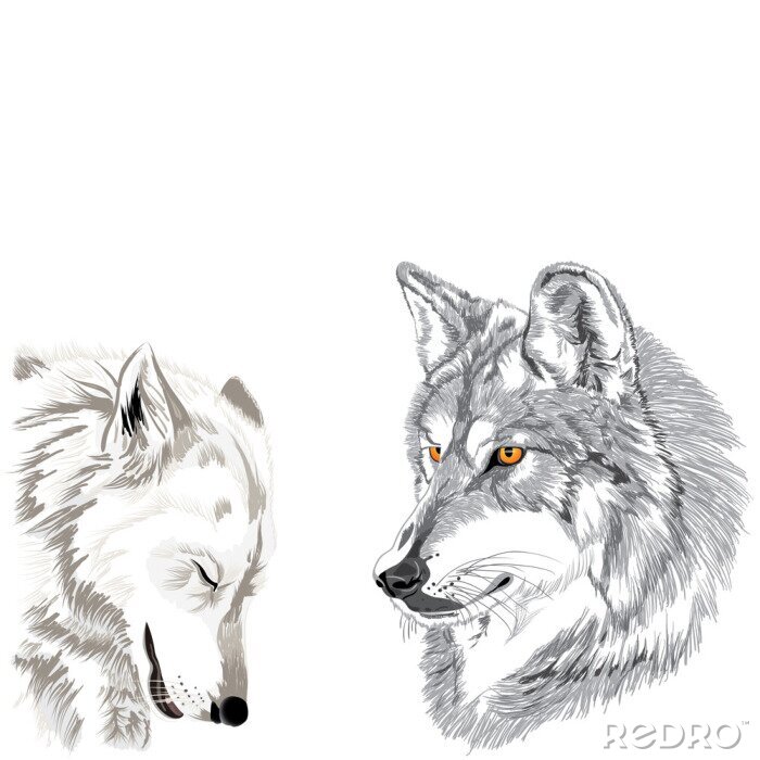 Sticker  Image de loups monochrome
