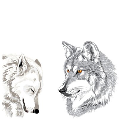 Sticker  Image de loups monochrome