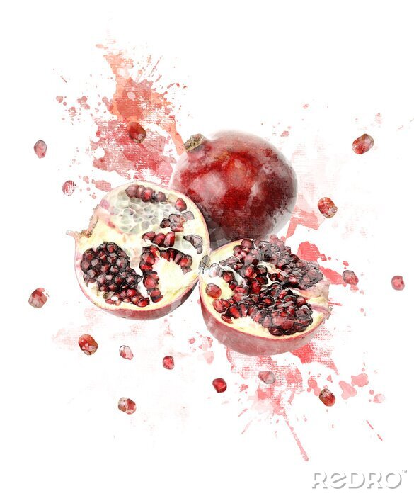 Sticker  Image en couleur eau de la grenade