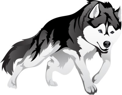 Sticker  Image graphique d'un loup