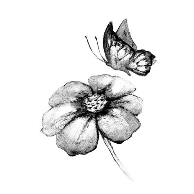 Sticker  Image monochrome papillon et fleur
