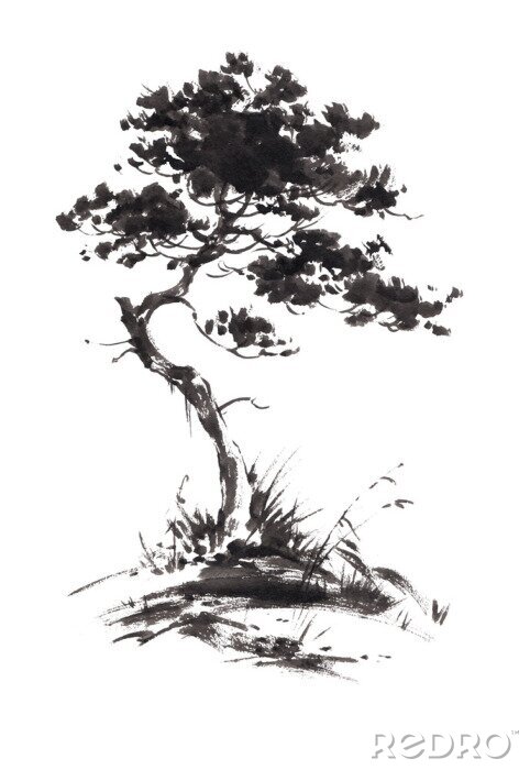 Sticker  Ink illustration de la croissance des pins avec de l'herbe. Silhouette composée de coups de pinceau noir isolé sur fond blanc.