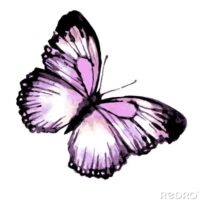 Sticker  Insecte violet sur fond clair