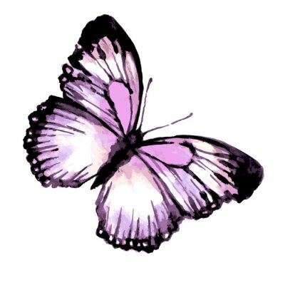 Sticker  Insecte violet sur fond clair