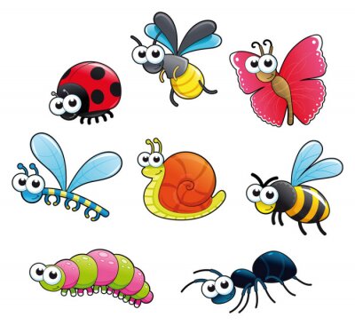 Sticker  Insectes colorés sympathiques avec de grands yeux