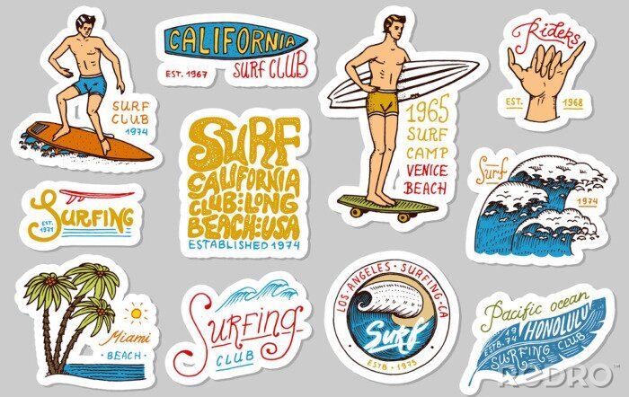 Sticker  Insignes de surfeur Vintage. Autocollants tropicaux et Californie. Vague, palmier et océan. Homme sur la planche de surf, plage d'été et mer. Emblème gravé dessinés à la main. Bannière ou affiche Spor