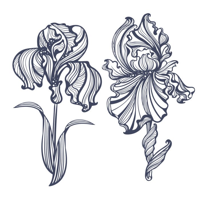 Sticker  Iris Art Nouveau