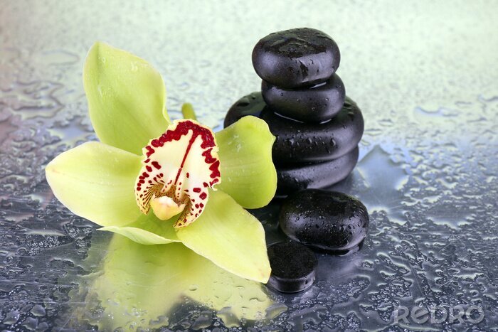 Sticker  Jaune fleur d'orchidée tropicale et spa pierres