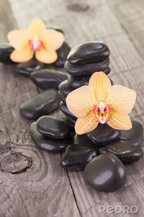 Sticker  Jaune Moth orchidées et pierres noires sur le pont résisté