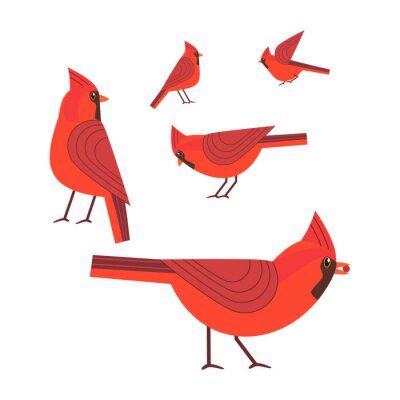 Sticker  Jeu d'icônes de Red Cardinal oiseaux. Style mignon de dessin animé à main levée. Oiseaux d'hiver du jardin de la ville, collection de parcs. Emblème animal stylisé. Élément pour l'arrière-plan de la b