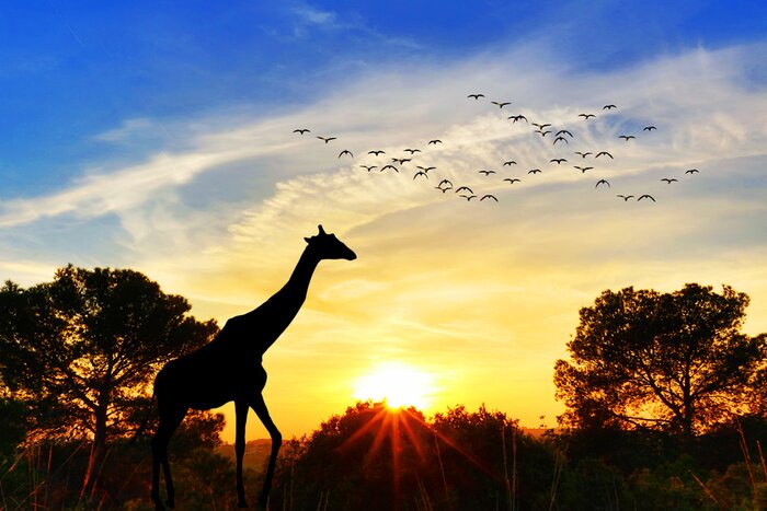 Sticker  Jirafa en el paisaje