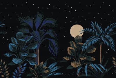 Jungle minimaliste la nuit