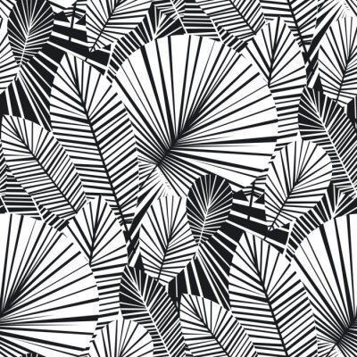 Papier peint à motif  Jungle tropicale noir et blanc