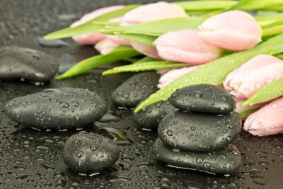 Sticker  Kamienie spa