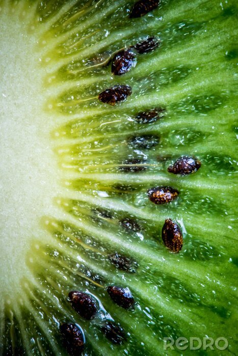 Sticker  Kiwi vert mûr. Fruits closeup