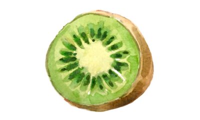 Sticker  kiwi watercolor