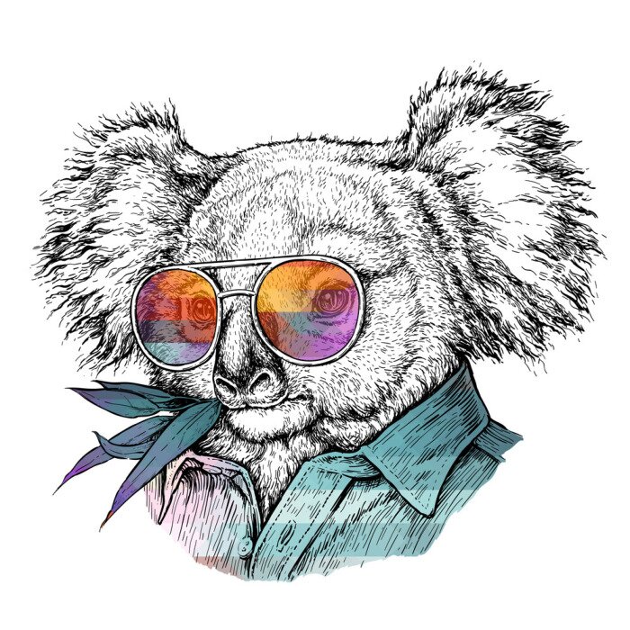 Sticker  Koala monochrome dans des verres arc-en-ciel