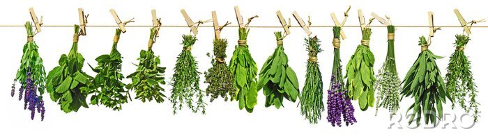 Sticker  Kräuter, kräuter ...