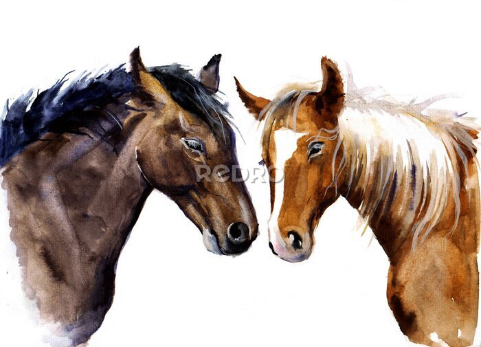 Sticker  L'amitié des chevaux
