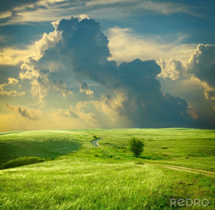 Sticker  La nature dans les champs