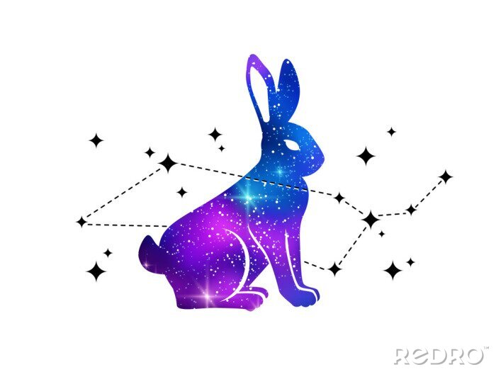 Sticker  Lapin et constellation de Cetus