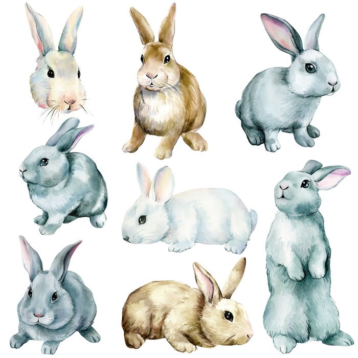 Sticker  Lapins aquarellés sur fond blanc