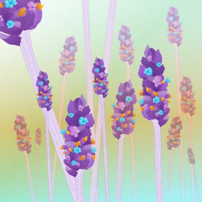 Sticker  Lavande en illustration couleur