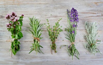 Sticker  Lavande sur bois avec herbes