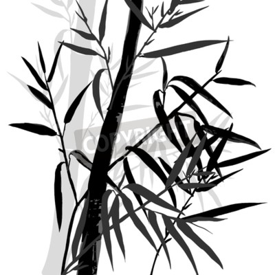 Sticker  Le haut du bambou. Fond de feuille de bambou. Illustration vectorielle