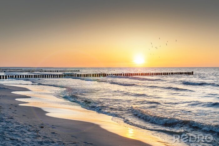 Sticker  Le soleil couchant derrière la mer