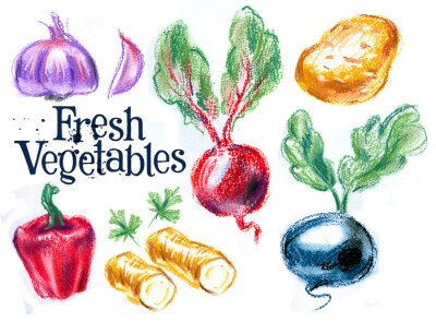 Sticker  légumes frais sur fond blanc. croquis, illustration