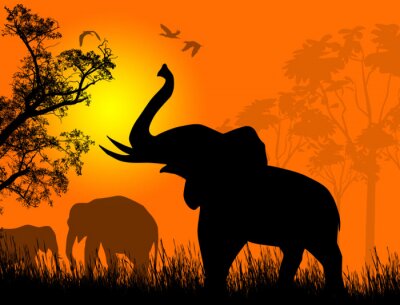 Les éléphants sauvages au coucher du soleil