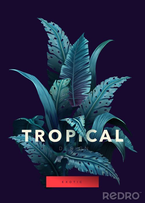 Sticker  Lettrage jungle et tropical