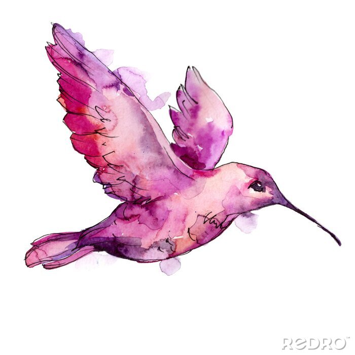 Sticker  Liberté sauvage, oiseau aux ailes volantes. Oiseau Aquarelle pour le fond, la texture, le motif, le cadre, la bordure ou le tatouage.