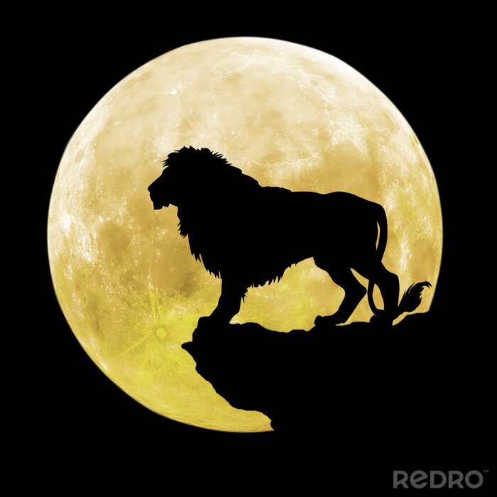 Sticker  Lions lion adulte dans le contexte de la pleine lune