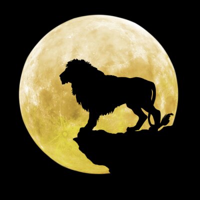 Sticker  Lions lion adulte dans le contexte de la pleine lune