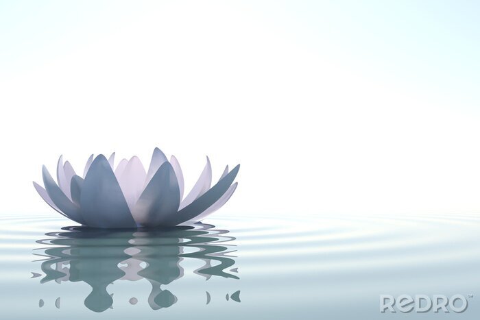 Sticker  Lotus sur l'eau
