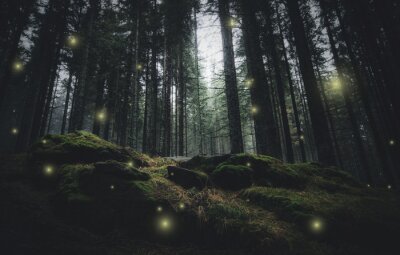Lucioles dans une forêt mystérieuse