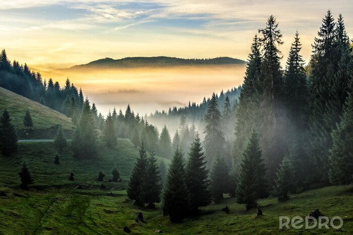 Sticker  Magnifique coucher de soleil dans les montagnes