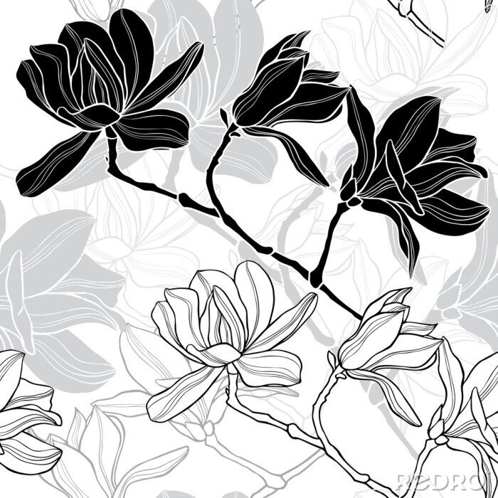 Sticker  Magnolia en illustration noir et blanc