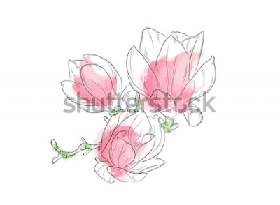 Sticker  Magnolia peint en rose