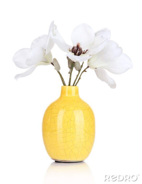Sticker  Magnolias blancs dans un vase en céramique jaune