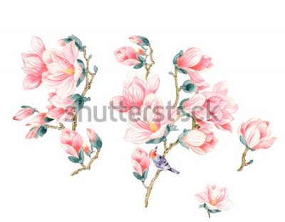 Sticker  Magnolias de saumon avec un oiseau