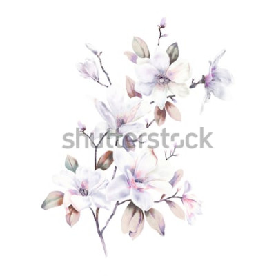 Sticker  Magnolias peints avec des peintures à l'eau