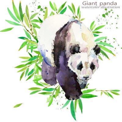 Sticker  main Panda sauvage dessiner illustration aquarelle
