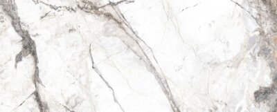 Marbre blanc et gris